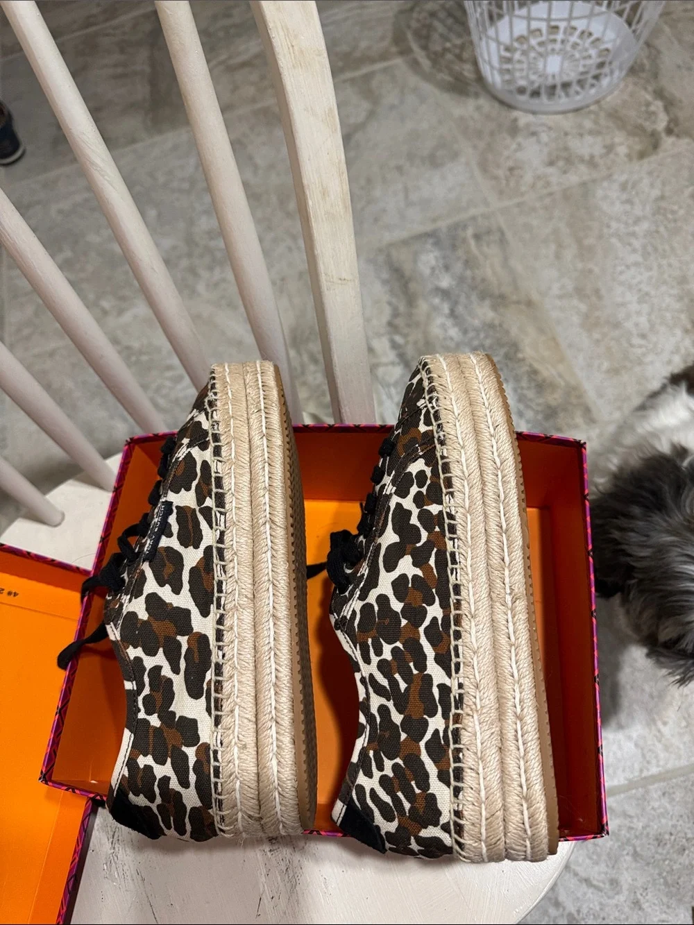 Tory Burch Leopard-Print Canvas Sneakers in Black & Brown